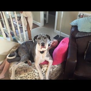 Meet your Posher, Todd